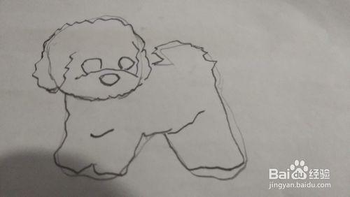 怎么画比熊简笔画