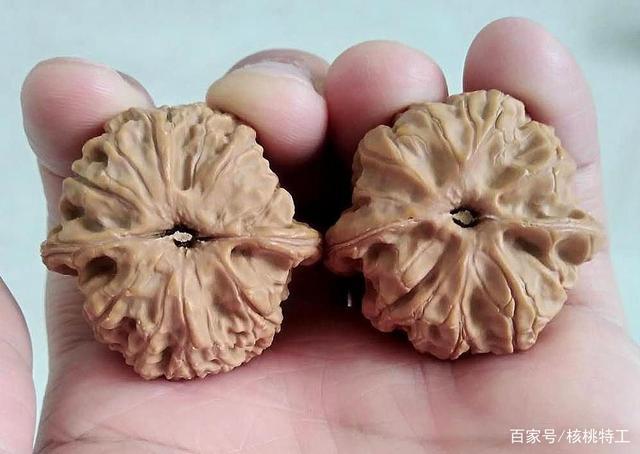 100种文玩核桃品种分享之63:梨木台狮子头