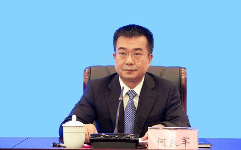 何良军简历:显示,广西崇左市委副书记,市长,广西凭祥综合保税区党工委