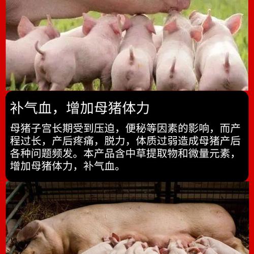 【华农利邦】 产后大补 母猪产后护理保健强力增奶改善奶质食欲不佳