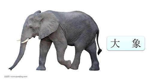 部编人教版二年级语文上册曹冲称象ppt