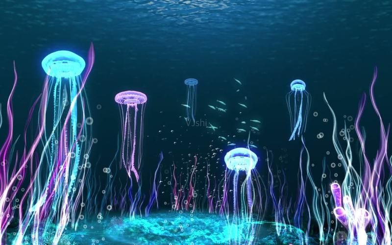 浪漫海底水母荧光意境唯美_1440x900_高清视频素材(:)