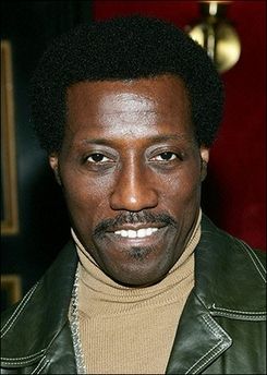 韦斯利·斯奈普斯韦斯利·斯奈普斯