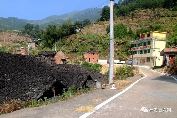 棕树,山旅游区