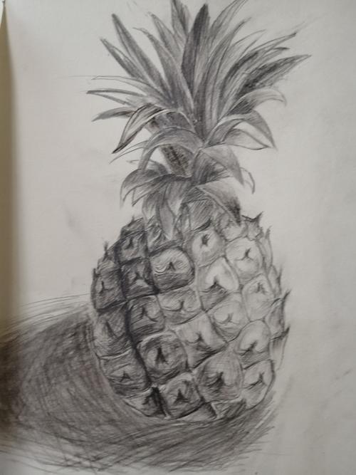 李珂晨作品一一菠萝