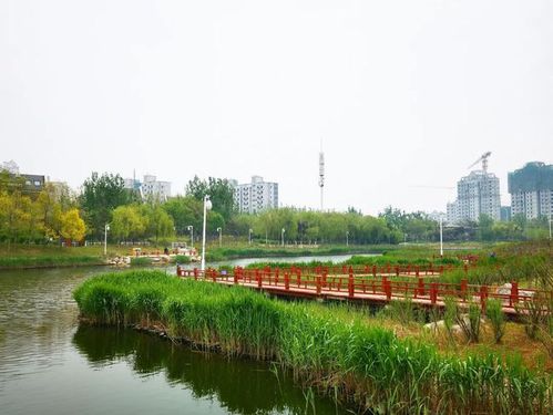 热心粉丝"绘制" 的生态城春钓攻略!|垂钓|东丽湖