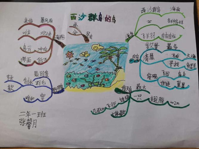 《西沙群岛的鸟》思维导图