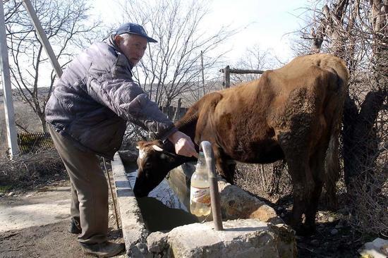 石油大窃案 格鲁吉亚农民自建完整产业链