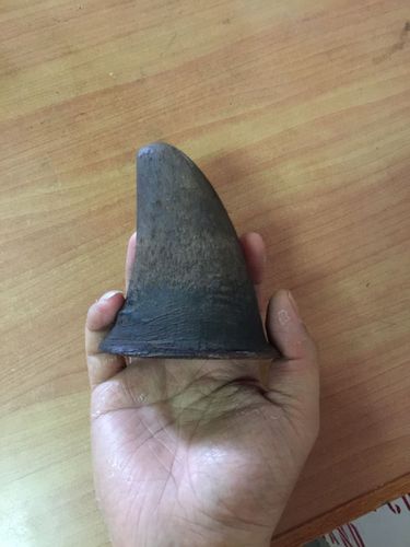 这个是犀牛角么