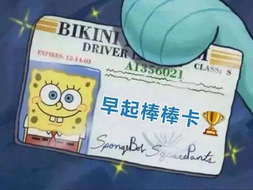 抖音守夜冠军卡(多图)-表情包爸爸