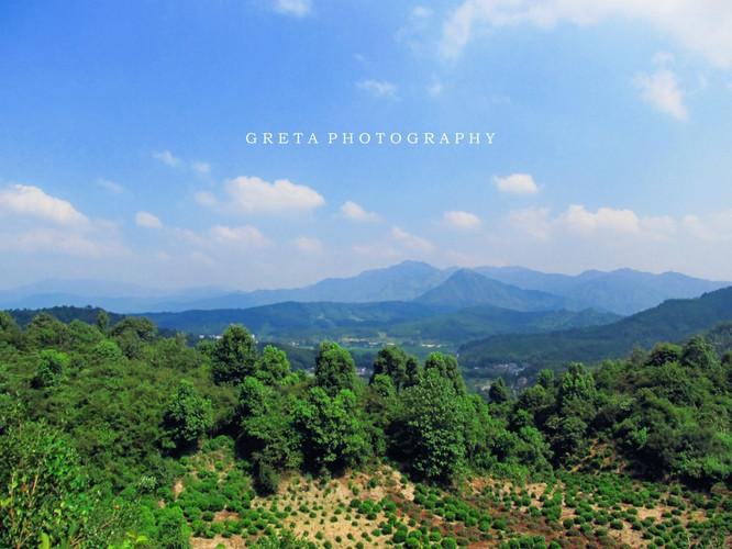 东埠                                 古码头 高岭