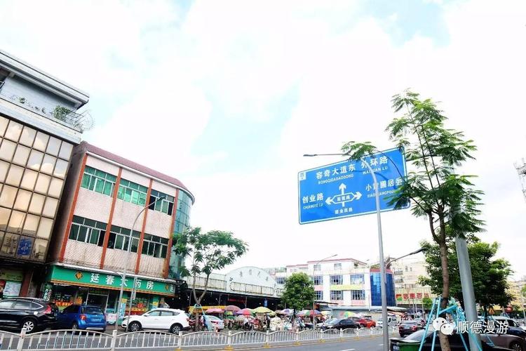 容桂小黄圃大汕岛