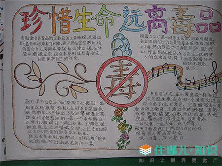 关于禁毒手抄报漂亮的图画禁毒手抄报版面设计