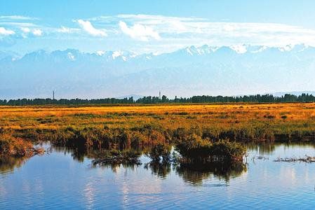 水光潋滟晴方好——嘉峪关草湖国家湿地公园掠影