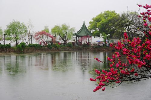 桃红柳绿醉蠡园(中)