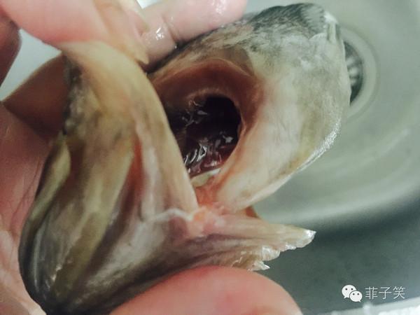 5,看,一条没有开膛破肚也干净完整的鱼