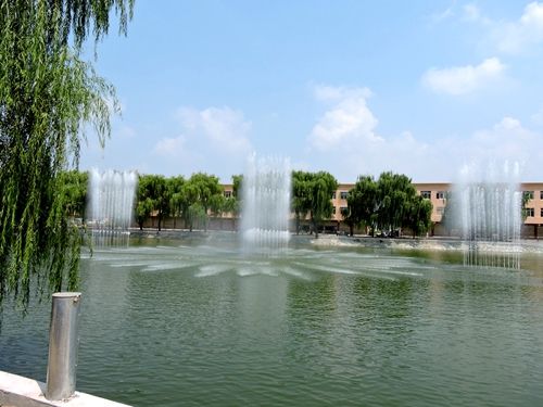 唐河美丽乡村--湖阳镇东湖游园掠影4