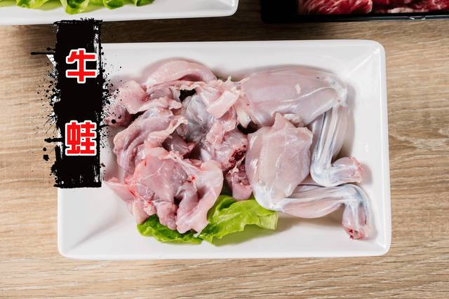 第二天又来一批新的"小伙伴". 牛蛙很嫩!牛蛙很嫩!牛蛙很嫩!