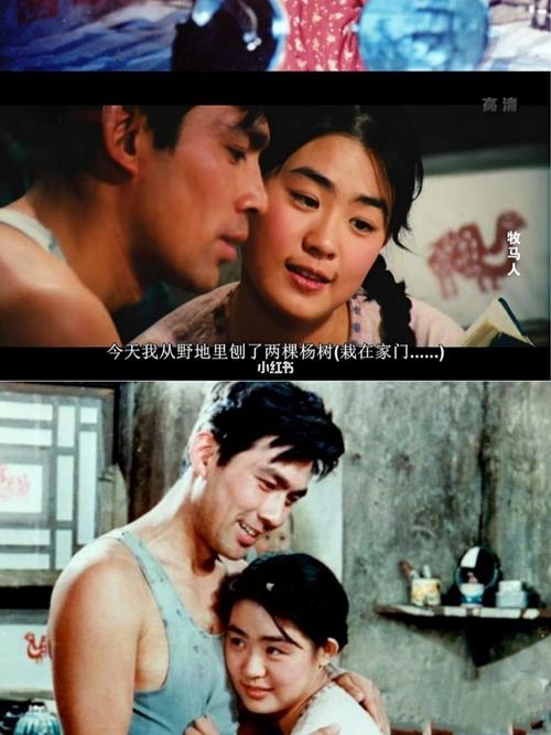 牧马人影评_读书_电影推荐_学习_爱情故事