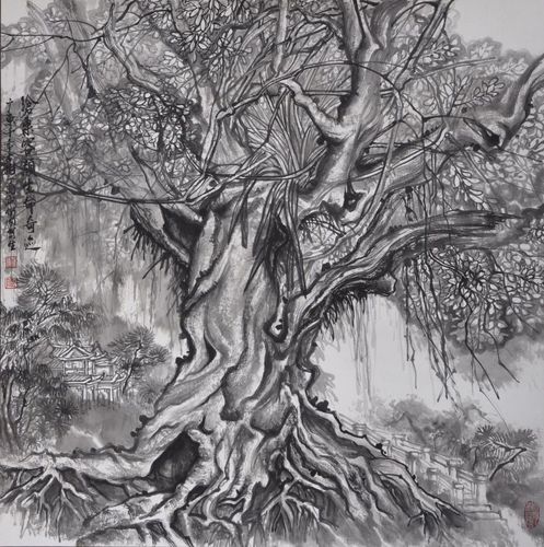 沧桑容颜千年古树 广东阳江写生作品