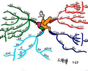 【同心同舵】王靖博第八季思维导图武林计划no.51鸟