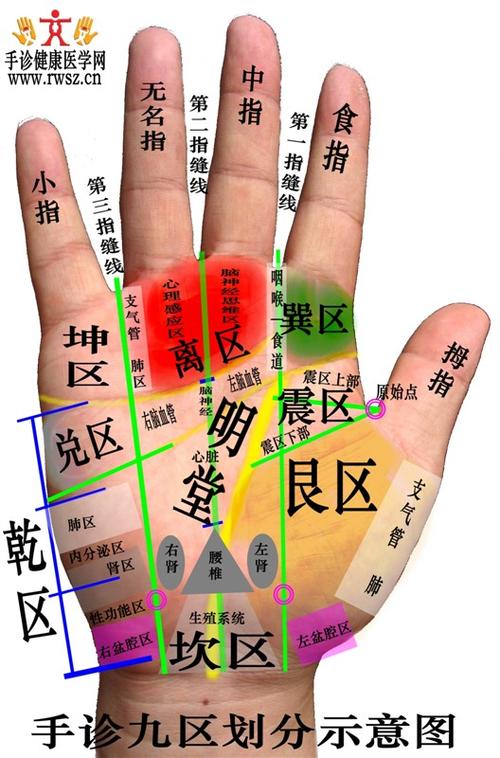 [转] 手诊先生樊红杰教授的手诊九区划分图