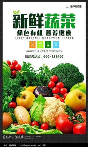 原创设计稿 海报设计/宣传单/广告牌 海报设计 新鲜有机食品蔬菜蔬果