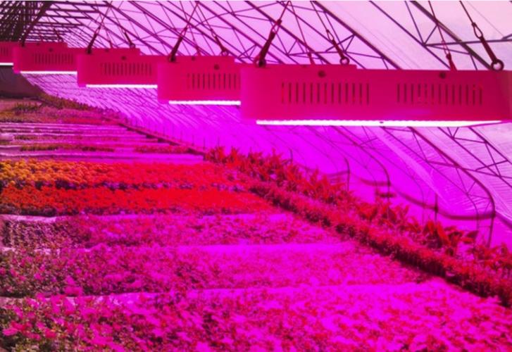 照明工业 特种照明 led植物生长灯 植物灯_led大麻生长灯_全光谱补光