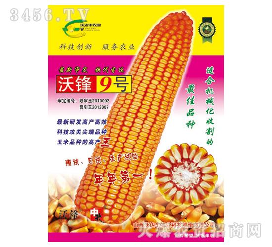 沃锋9号(玉米种子)-沃达丰