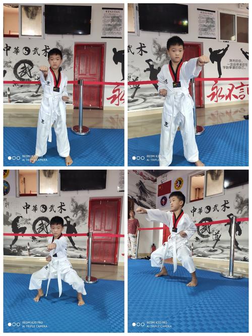 原地马步冲拳展示训练