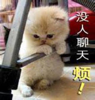 qq搞笑真人头像_搞笑真人图片
