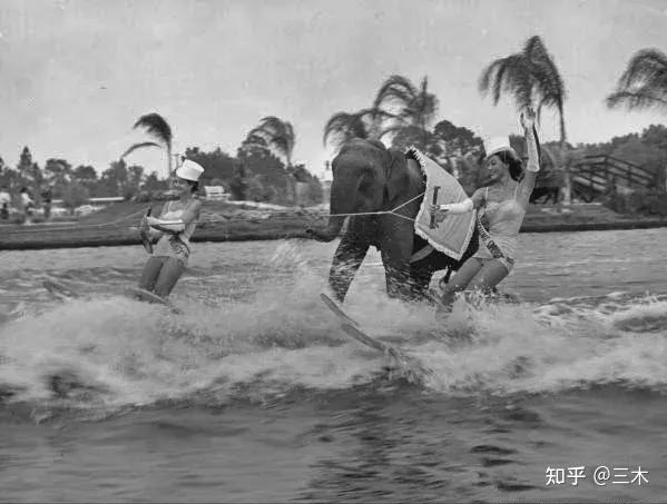 珍贵老照片日军竟教女人射击徒手扔炸弹世界第一只无头鸡