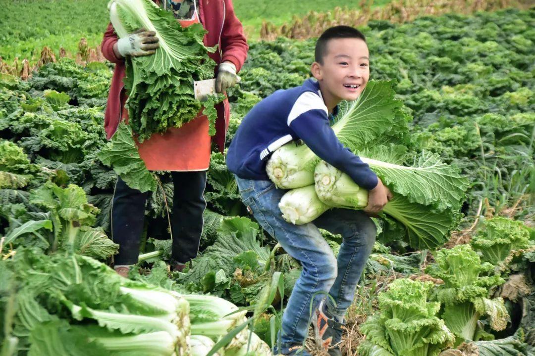 卖掉北京学区房,带孩子回农村生活,黄圣依却这样做