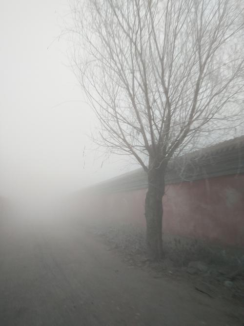 雾里的都,都里的人. 上班随拍