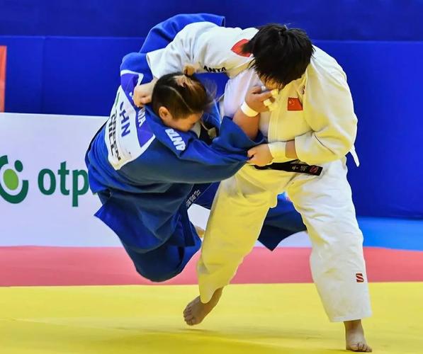 东京奥运想用中国柔道垫,日本有人不乐意