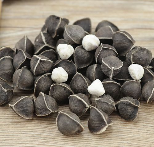 辣木籽的吃法是什么?怎么吃效果最好?