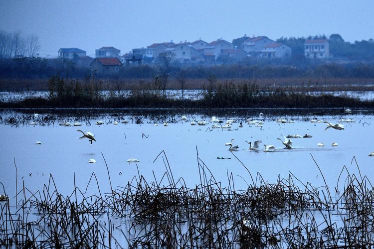 二进安山(国家湿地公园)