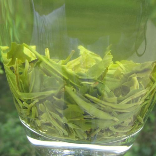 厂家批发供应2019年新茶西乡绿茶 汉中炒青茶叶500g送礼品包邮