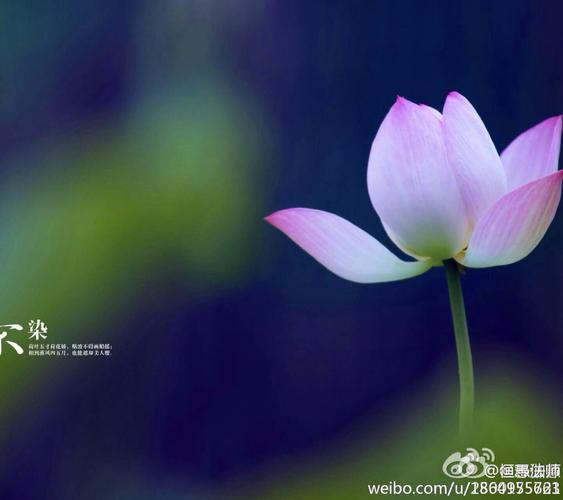 三千世界,九天之内,心若清净,无处不是净土.