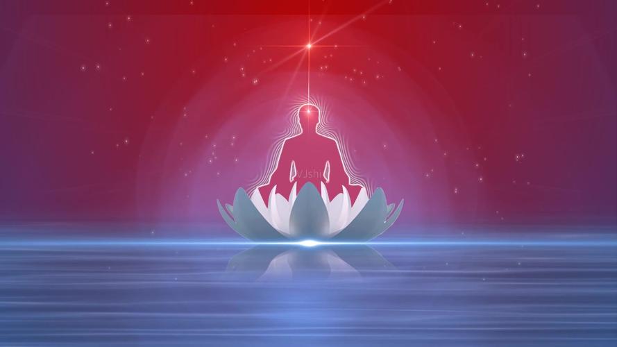 莲花神仙打坐_1920x1080_高清视频素材下载(编号:)