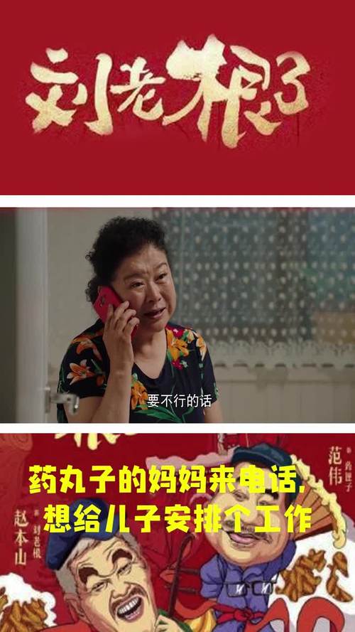 刘老根3,药丸子的妈妈来电话,想给儿子安排个工作
