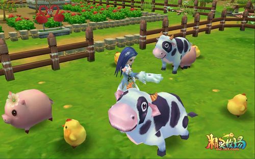精灵牧场新闻
