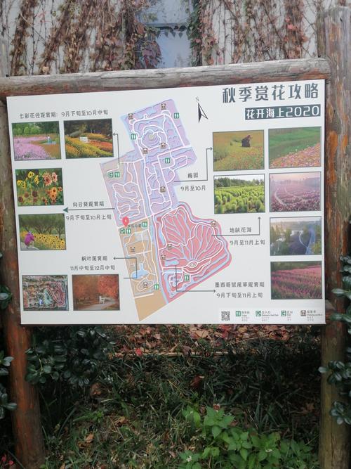 11.13--11.15游览了嘉善越里,朱泾花开海上生态园,枫泾古镇…….