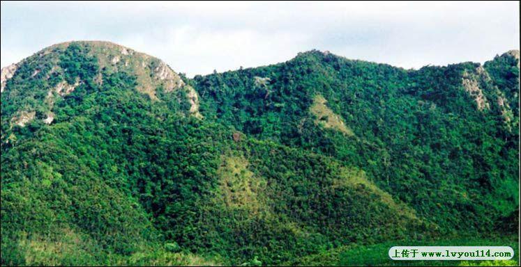 伟人化身-毛公山