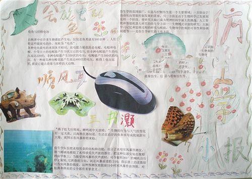 仿生学手抄报图片大全