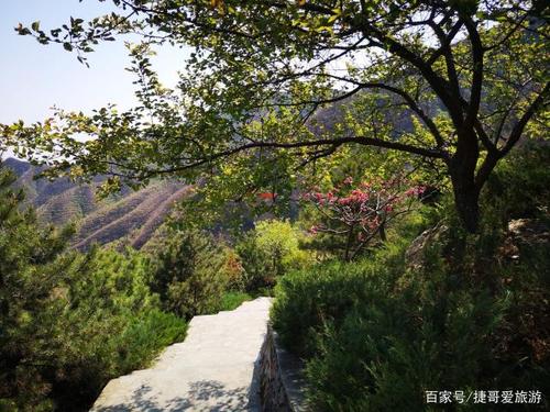 秋游 北京市 丰台区 千灵山公园