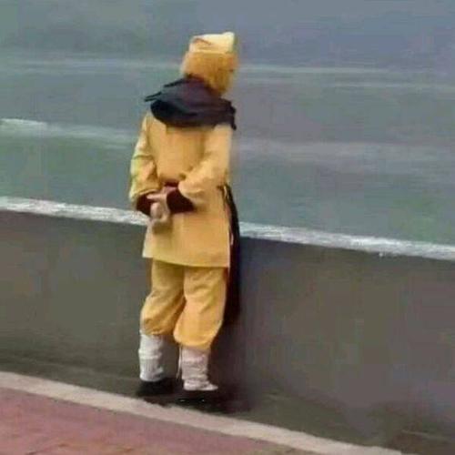 谁有孙悟空背手站在海边那个图片,发下,谢谢