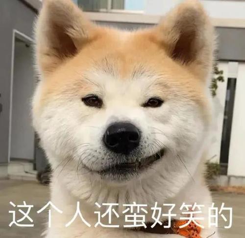 表情包丨托腮腮(动态版)