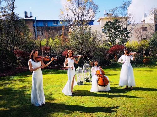 激情小提琴,四重奏,电提琴,以及古典乐队