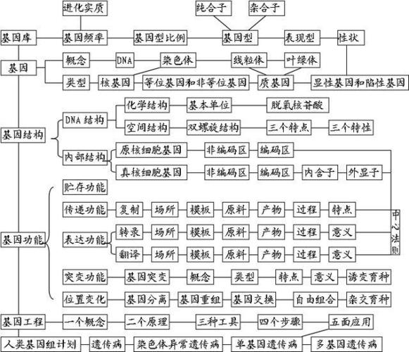 高中生物:知识结构图全汇总!让人一目了然